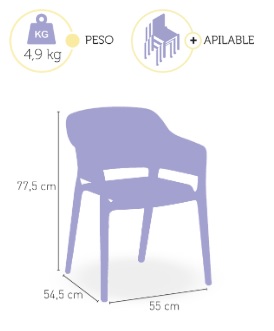 Sillon Monoblock Inyeccion Polipropileno