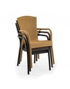 Sillon Monoblock Inyeccion Polipropileno Imitacion Rattan