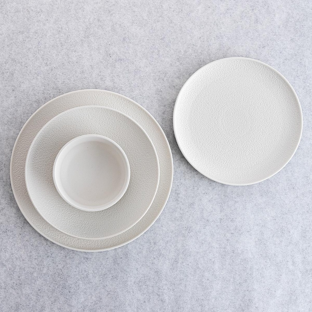 Plato Llano 26,5x26,4x2,3 Porcelana Fosil Bidasoa Arcoroc (copia)