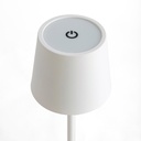 ADI-AMPLIACION-20260813-LOTE055 5428564 imagen 2