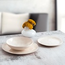 PLATO LLANO 26 CMS CERAMICO COSMOS BIDASOA 5426013 ARCOROC