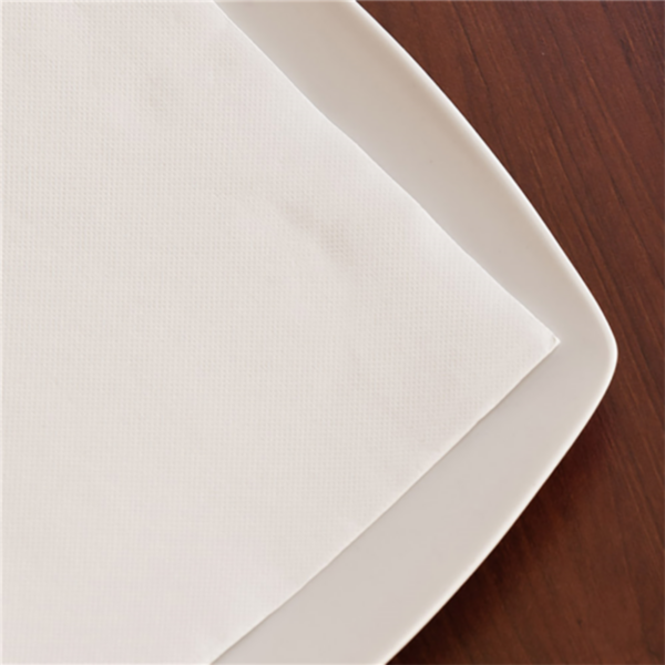 Servilleta 20x20 Ecolabel "Double Point" Blanco Tissue Paq-100 Garcia De Pou — vista oficial — GDP-MEDIA-20260811-45ec33b13bcb34da