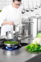 PUJADAS-EQUIV:P204024:2