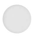 Plato Llano 21,3x21,2x2,2 Porcelana Fosil Bidasoa Arcoroc