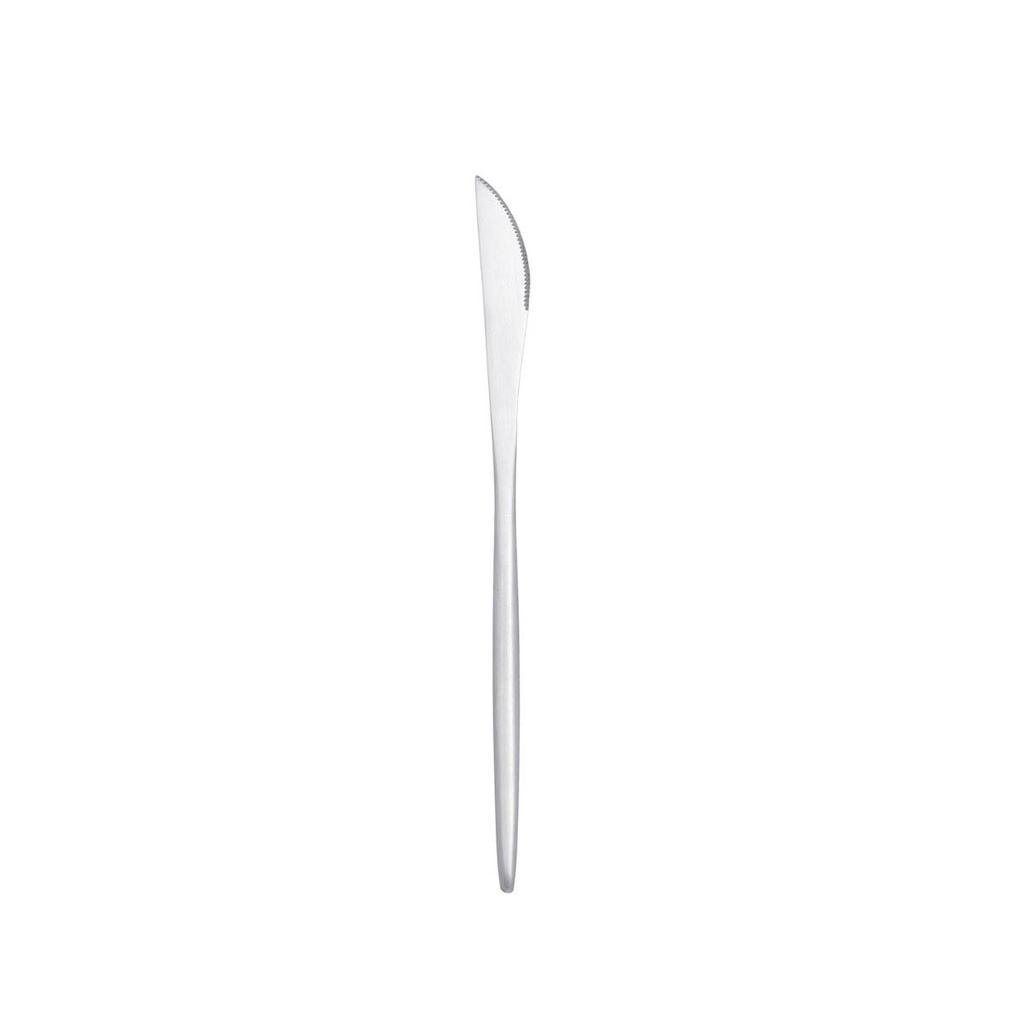 Cuchillos mesa acero inox Fosil 23x1,2x1,1 cm - Bidasoa