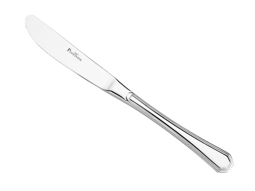 [0400267] Cuchillo Mesa 21 Cms America Pintinox