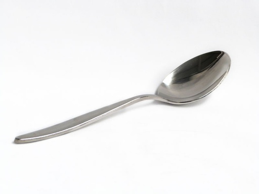 [0402157] Cuchara Mesa 20,3 Cms TP