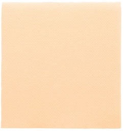 Servilleta 20x20 Ecolabel "Double Point" Rojo Tissue Paq-100 Garcia De Pou