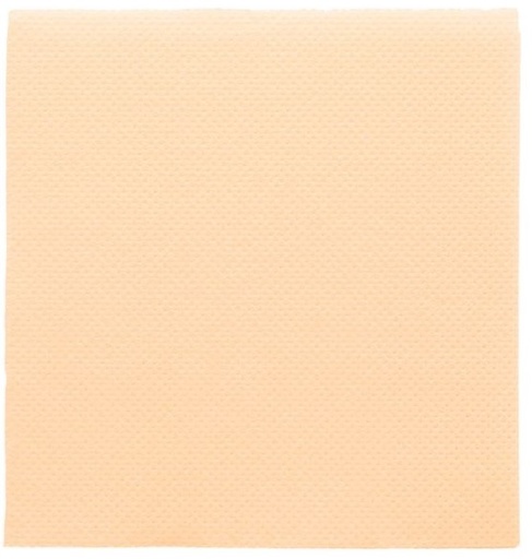 [1601661] Servilleta 20x20 Ecolabel "Double Point" Marfil Tissue Paq-100 Garcia De Pou