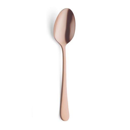 Cuchara Mesa 20,5 Cms Austin Arcoroc