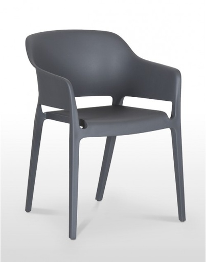 Sillon Monoblock Inyeccion Polipropileno