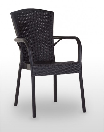 Sillon Monoblock Inyeccion Polipropileno Imitacion Rattan