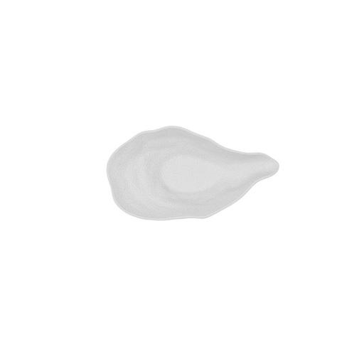 Bol Molusco Porcelana Fosil Bidasoa Arcoroc
