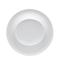 Gourmet Plato Presentación 30