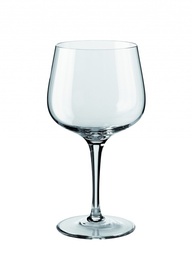 Copa 81 Cl Gin Tonic Giona Combinado